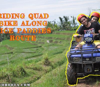 Quad Bike Bali Tour with Rice Paddies Tracks