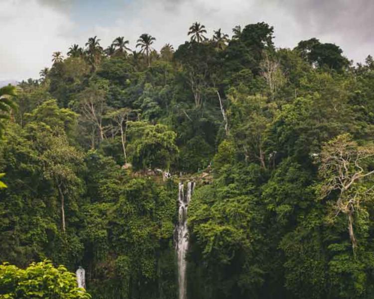 Sekumpul Bali – The Breathtaking Complex of Seven Waterfalls