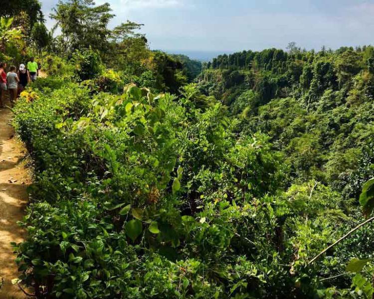 Trekking in Lemukih Village and Reach Secret waterfall