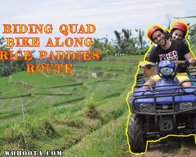 Quad Bike Bali Tour with Rice Paddies Tracks