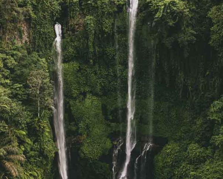 The Recommended Tour of Bali Secret Waterfall