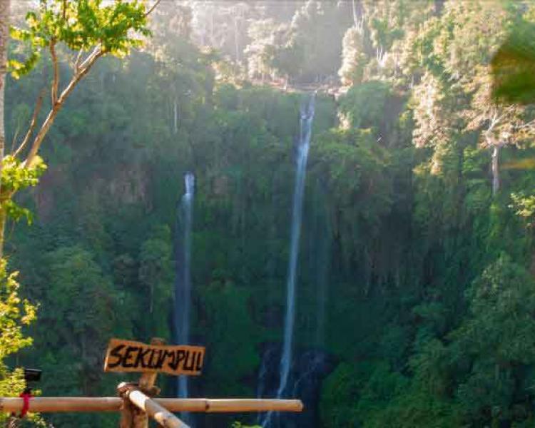 The Wonder You Can See in Sekumpul Waterfall