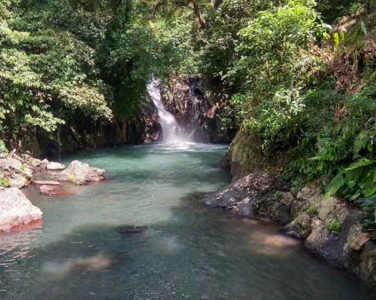 Awesome!! You Should Try Jumping Tour in North Bali