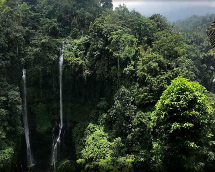 Waterfall Jumping, Outdoor Activity that You Should Try in Bali