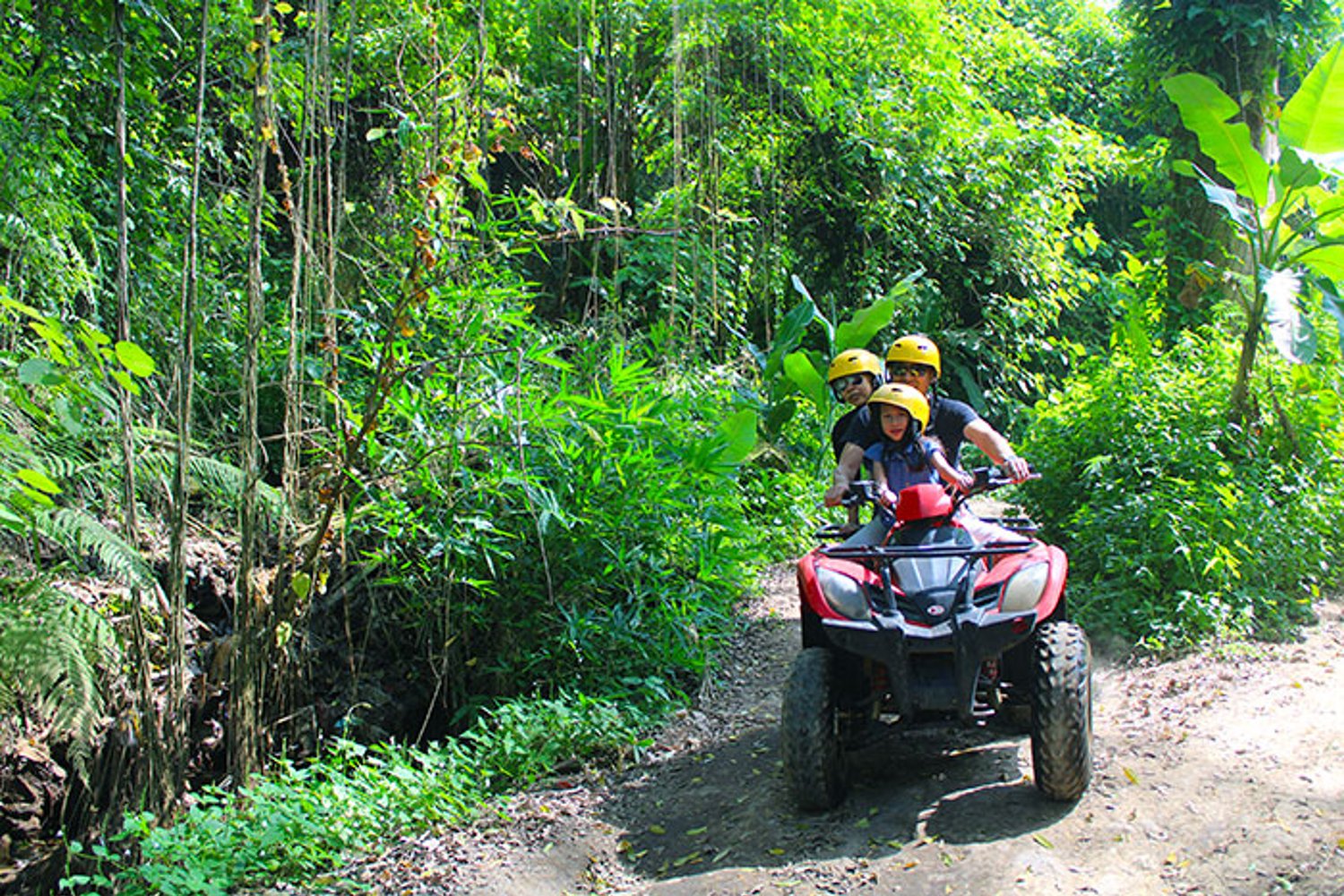 Private Bali Atv Bike Adventure Tour in Ubud - Wohoota